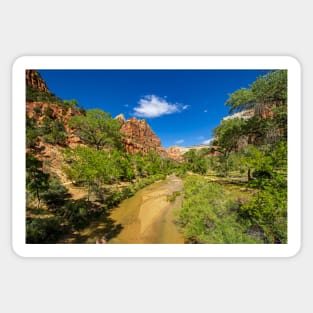 Up the Virgin River, Zion National Park Sticker